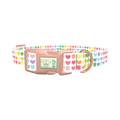 Rainbow Heart and Clover Dog Collar - plastic rose gold