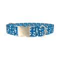 Musical Notes Dog Collar - metal silver
