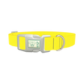 Yellow-Bellied Color Dog Collar - plastic silver