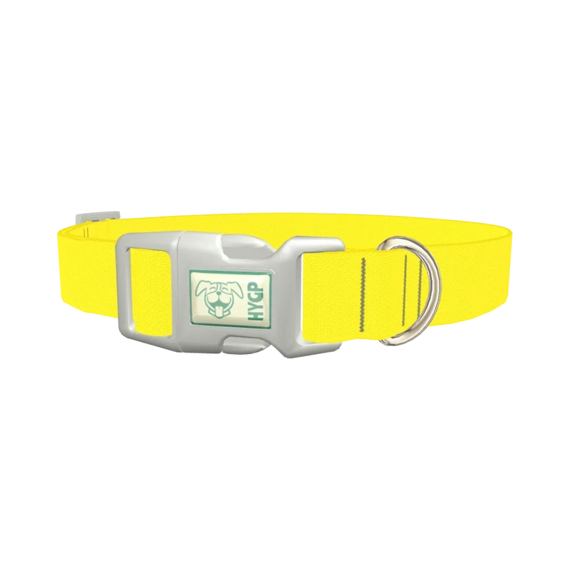 Yellow-Bellied Color Dog Collar - plastic silver