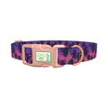 Tropical Sunset Dog Collar - plastic rose gold
