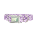 Witchy Magic Elements Dog Collar - plastic silver