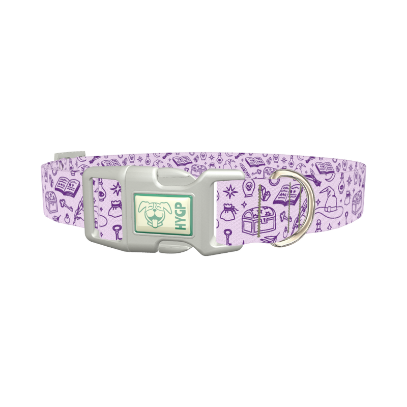 Witchy Magic Elements Dog Collar - plastic silver