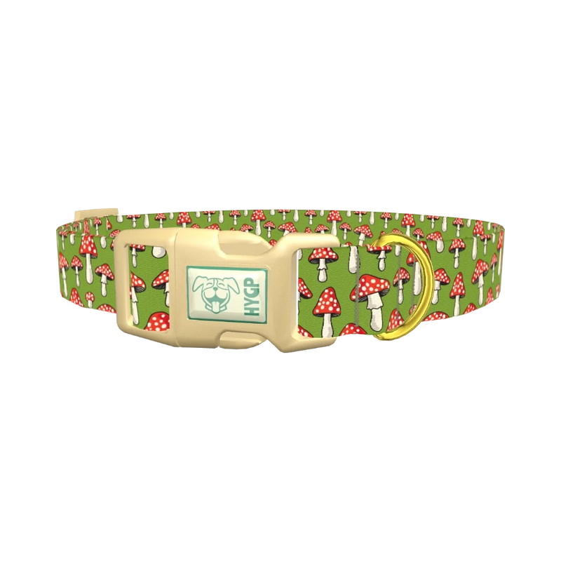 Fly Agaric Mushroom Dog Collar - plastic gold