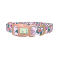 Floral Fig Dog Collar - plastic rose gold
