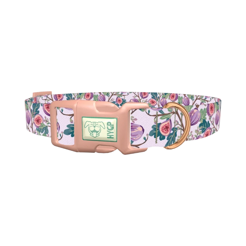 Floral Fig Dog Collar - plastic rose gold