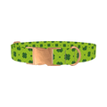 Green Clover Pattern Dog Collar - metal rose gold