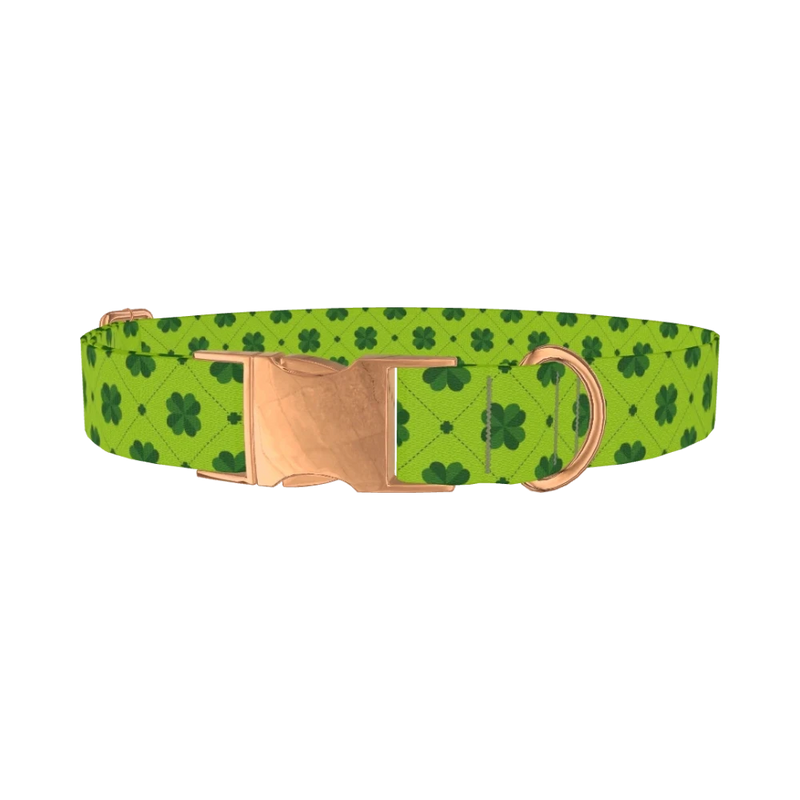 Green Clover Pattern Dog Collar - metal rose gold