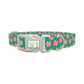 Christmas Candy Dog Collar - plastic silver