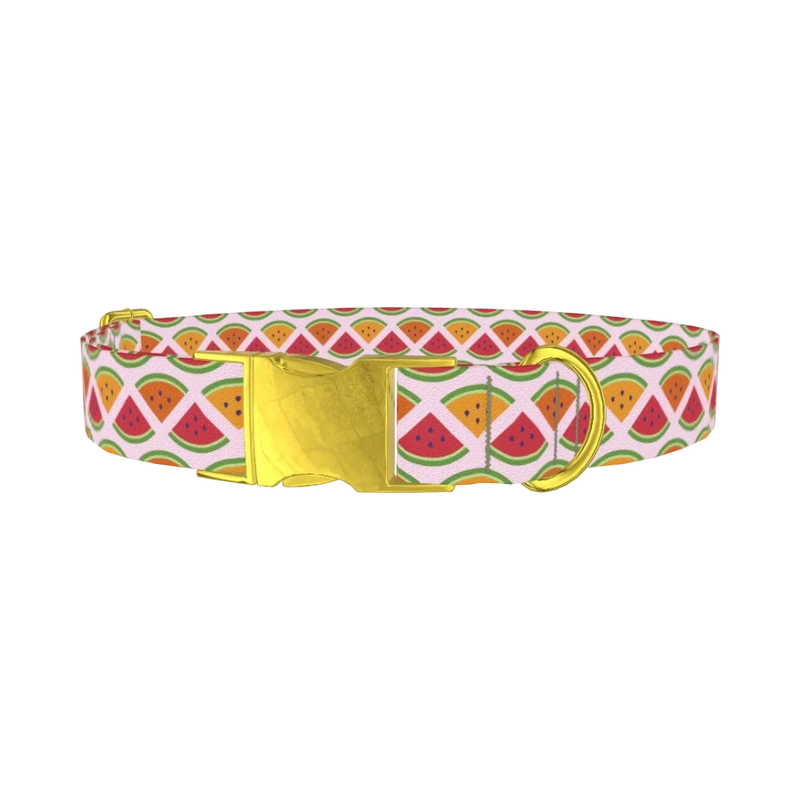 Fruit Slice Dog Collar - metal gold
