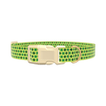 Lime Clover Pattern Dog Collar - plastic silver