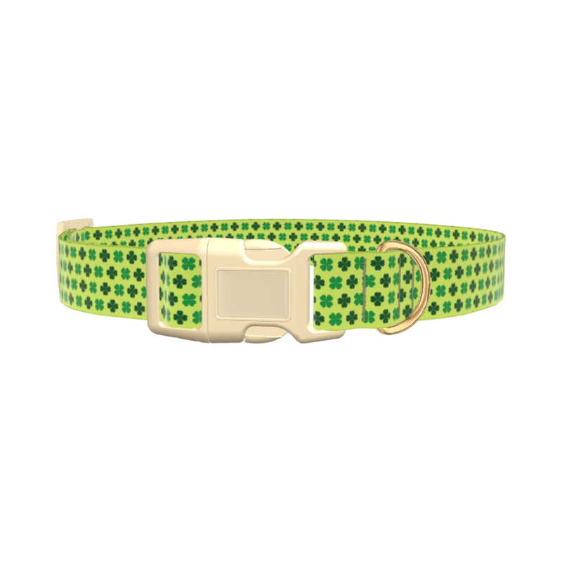 Lime Clover Pattern Dog Collar - plastic silver