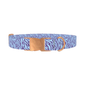 Zebra Stripe Dog Collar - metal rose gold