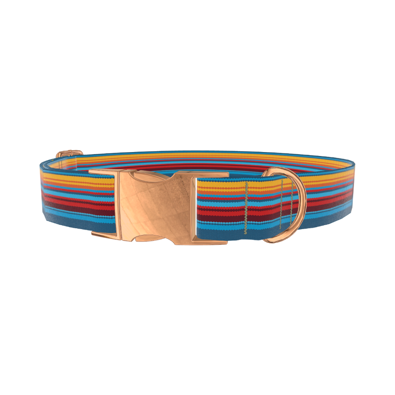 Colorful Geometric Stripe Dog Collar - metal silver