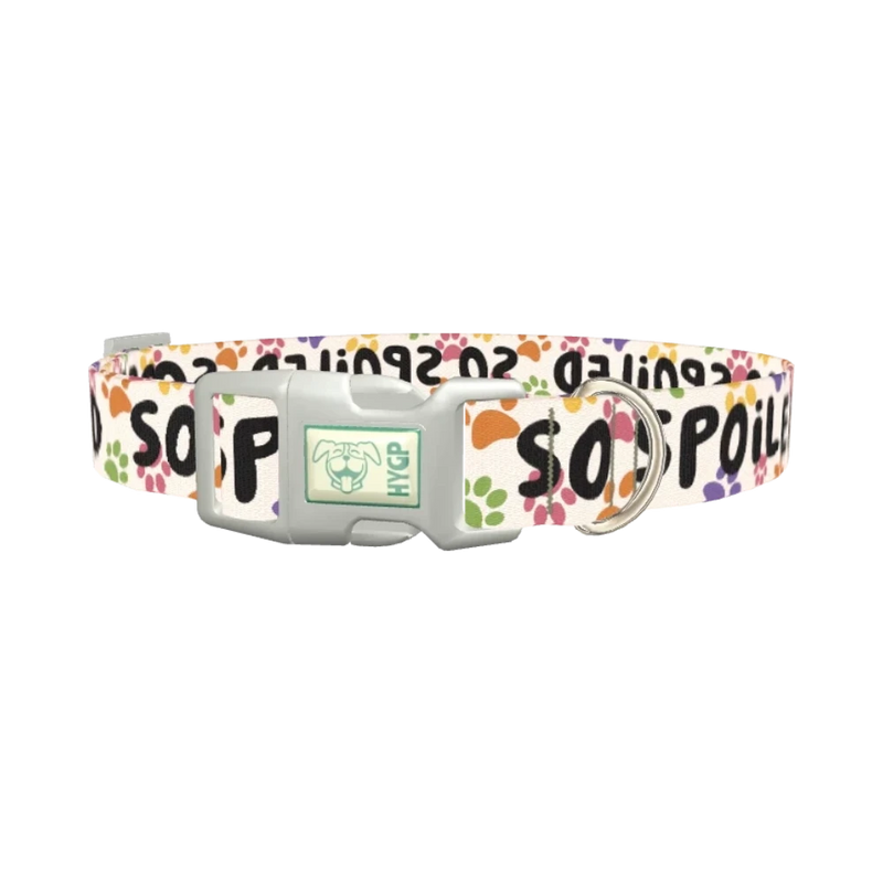 Paw Print Pattern Dog Collar - plastic silver