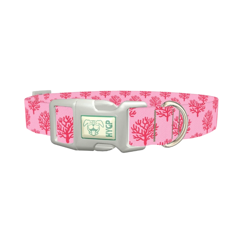 Coral Reef Dog Collar - plastic silver