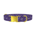 Mystical Witchcraft Dog Collar - metal gold