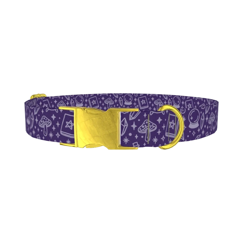 Mystical Witchcraft Dog Collar - metal gold