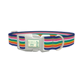 Rainbow Stripes Dog Collar - plastic silver