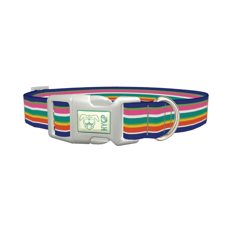 Rainbow Stripes Dog Collar - plastic silver