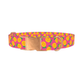Pineapple Fruit Dog Collar - metal rose gold
