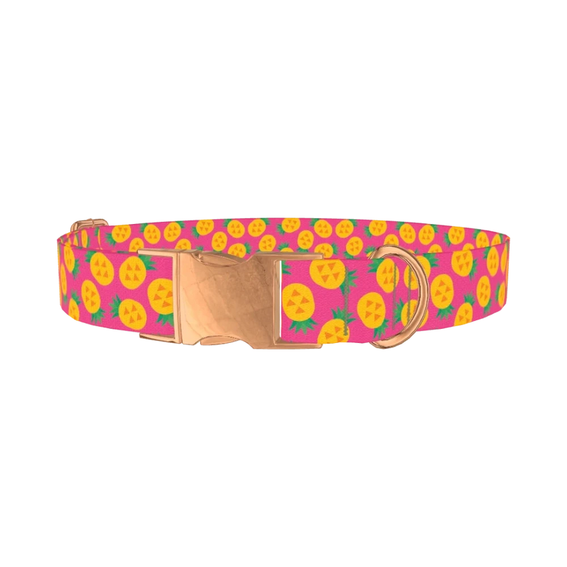Pineapple Fruit Dog Collar - metal rose gold