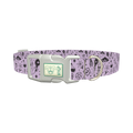 Halloween Witchy Mirror Dog Collar - plastic silver