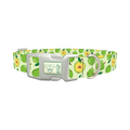 Green Apple Dog Collar - plastic silver