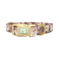 Floral Roses Dog Collar - plastic gold