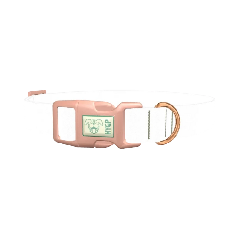 Rose Gold Chain Dog Collar - plastic rose gold