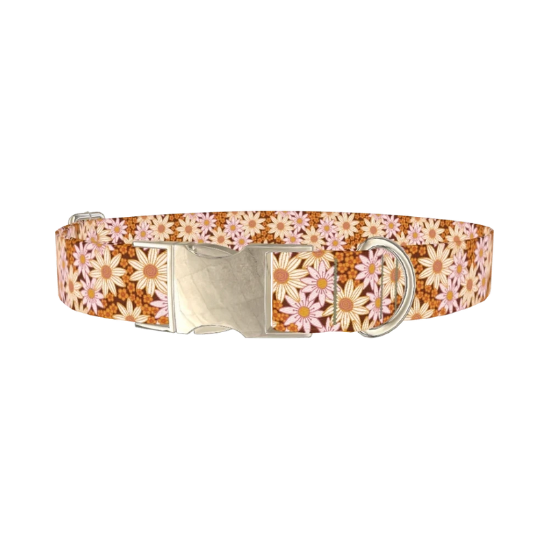 Retro Floral Dog Collar - metal silver