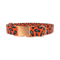 Orange Coffin Halloween Dog Collar - metal silver