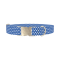 Blue Dot Pattern Dog Collar - metal silver