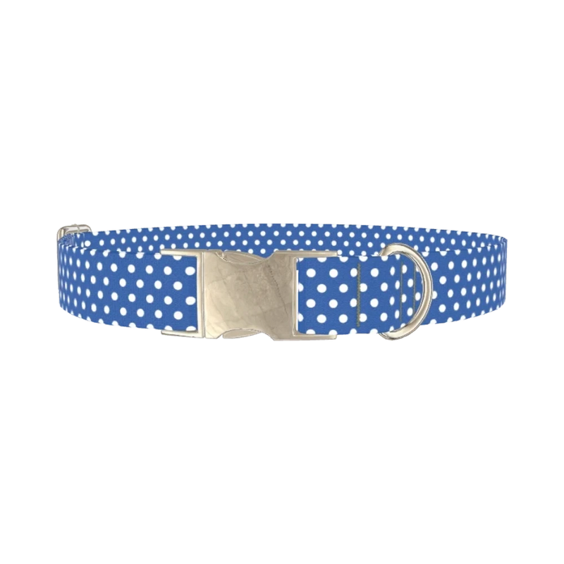 Blue Dot Pattern Dog Collar - metal silver