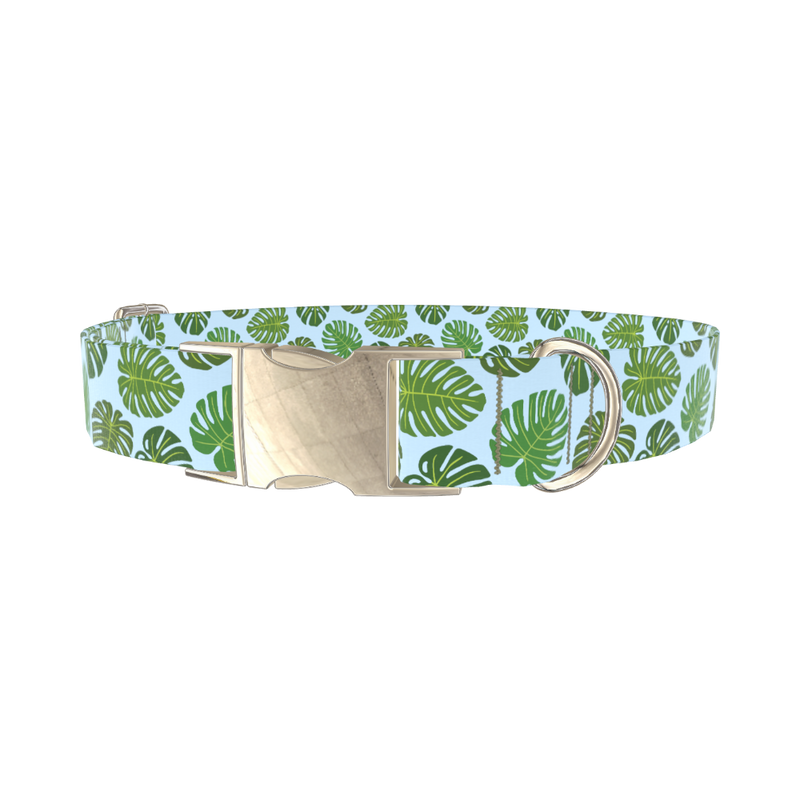Blue Monstera Leaf Dog Collar - metal gold