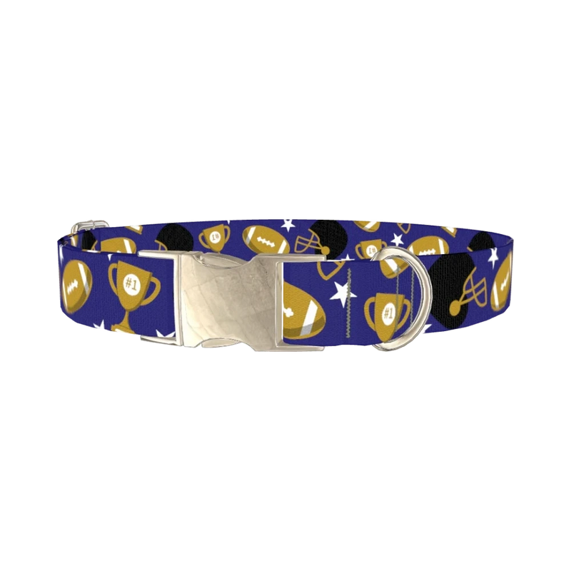 Purple Football Trophy Dog Collar - metal silver