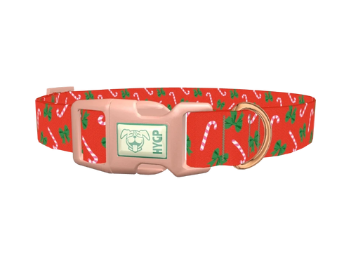Festive Bows and Candy Canes Dog Collar