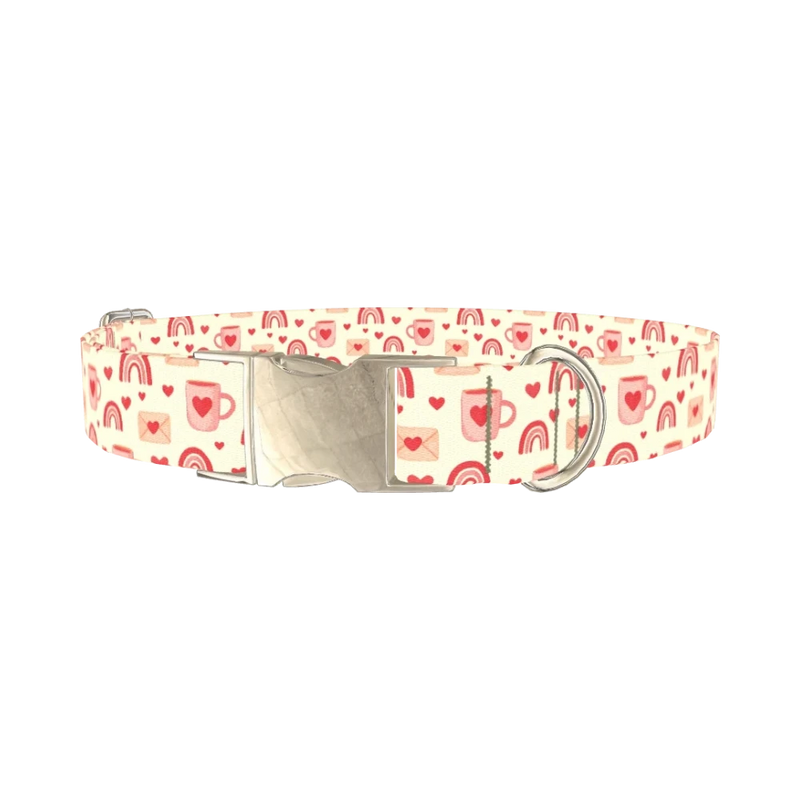 Valentine Mug and Envelope Dog Collar - metal silver
