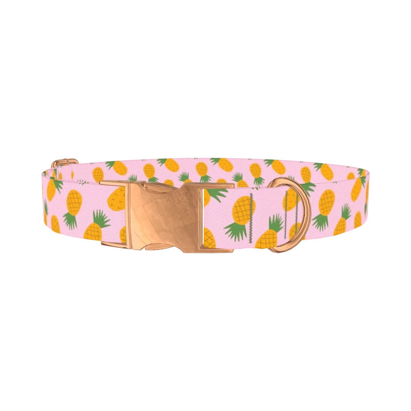 Tropical Pineapple Dog Collar - metal rose gold