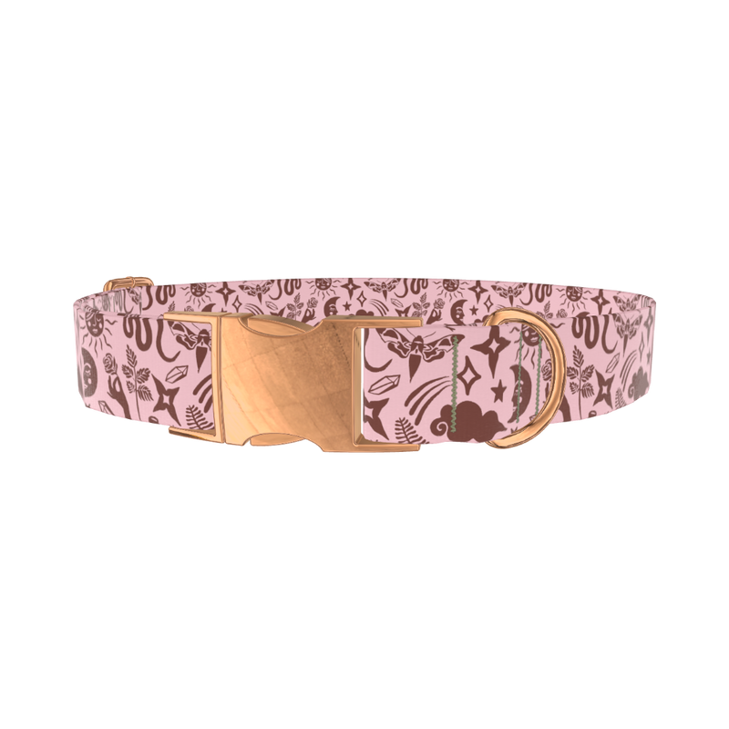 Mystical Nature Dog Collar - metal silver