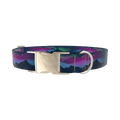 Northern Lights Dog Collar - metal silver