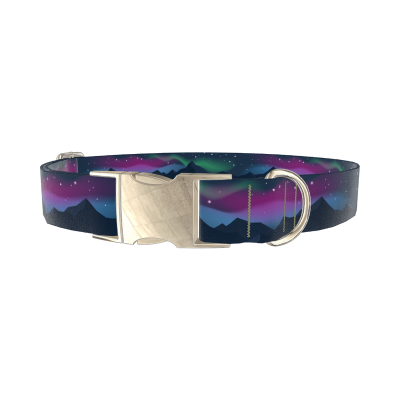 Northern Lights Dog Collar - metal silver