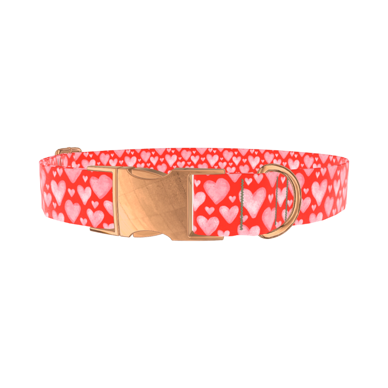 Watercolor Heart Dog Collar - metal silver