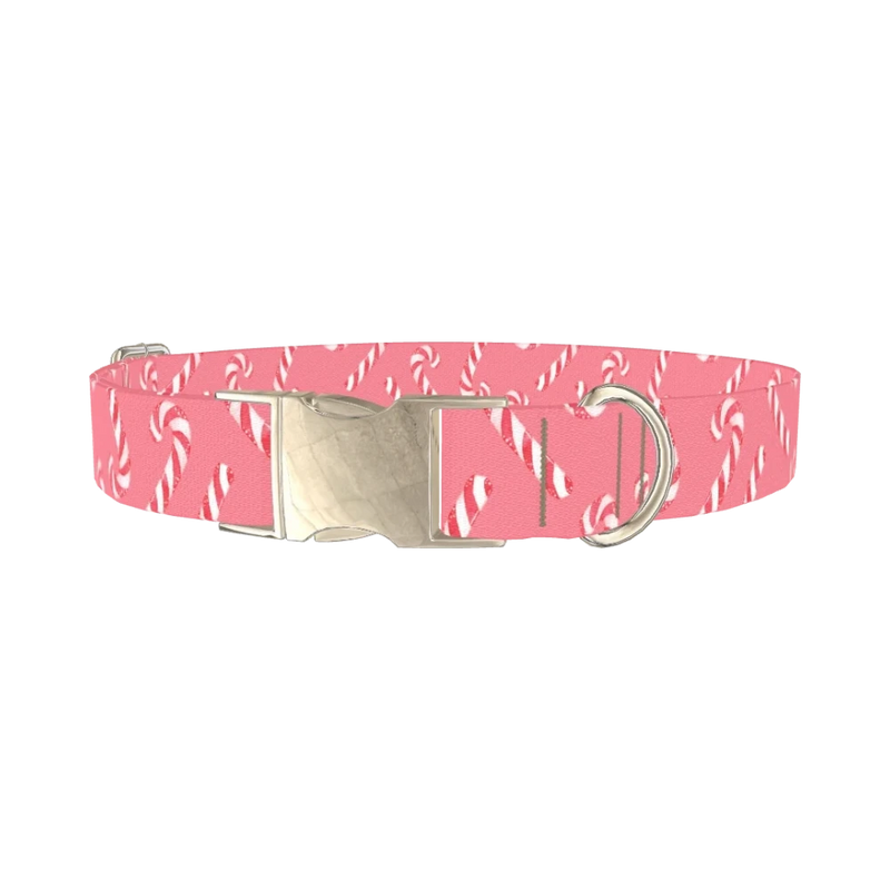 Pink Candy Cane Dog Collar - metal silver