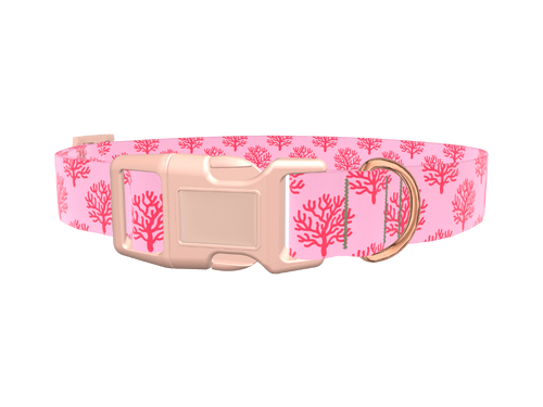 Coral Reef Dog Collar