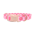 Coral Reef Dog Collar - plastic gold