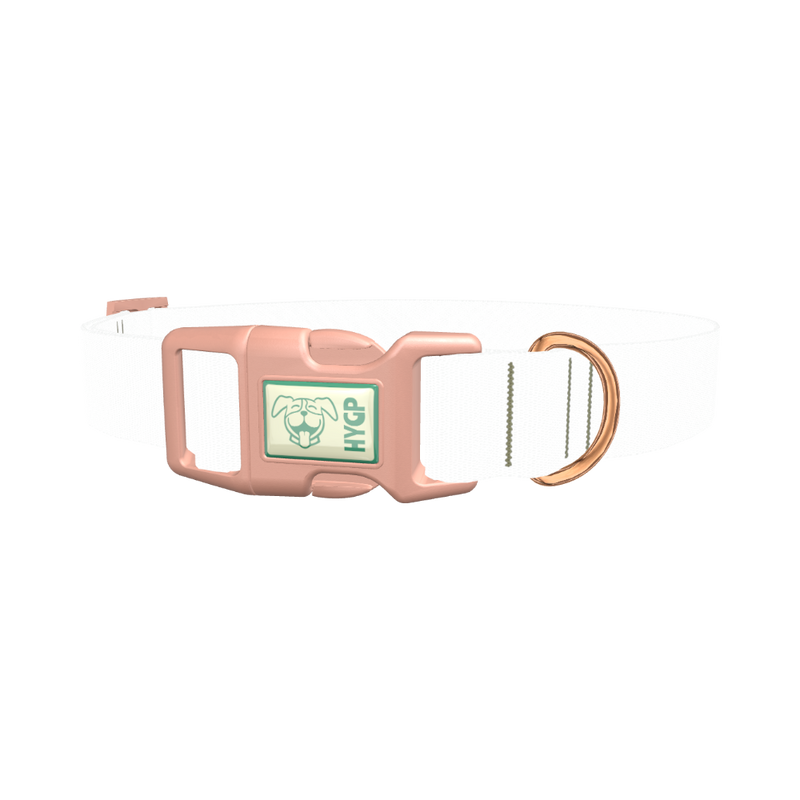 Dinosaur UFO Dog Collar - plastic rose gold
