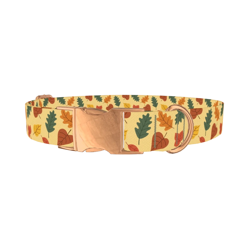 Colorful Autumn Leaf Dog Collar - metal rose gold
