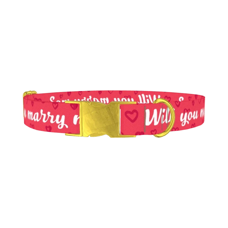 Heart Phrase Dog Collar - metal gold