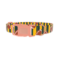Green Stripe Football Dog Collar - plastic rose gold